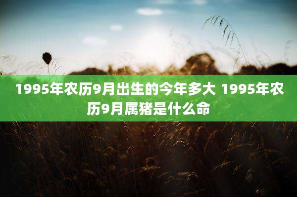 1995年农历9月出生的今年多大 1995年农历9月属猪是什么命
