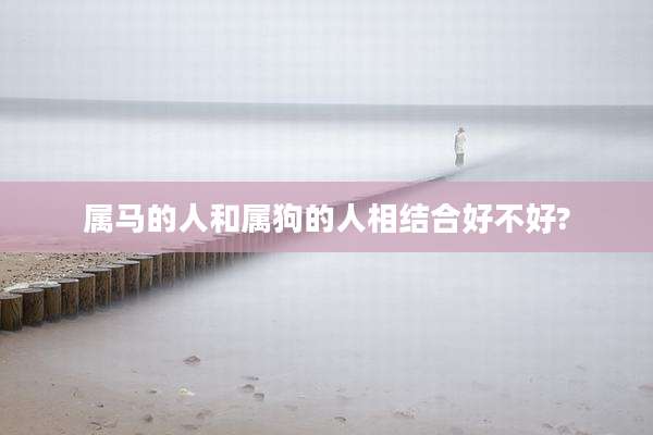 属马的人和属狗的人相结合好不好?