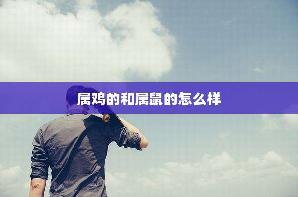属鸡的和属鼠的怎么样