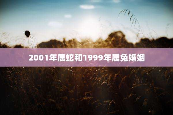 2001年属蛇和1999年属兔婚姻