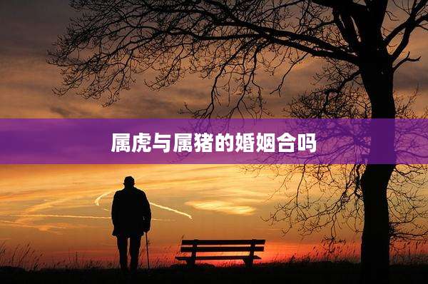 属虎与属猪的婚姻合吗