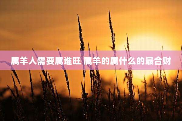 属羊人需要属谁旺 属羊的属什么的最合财