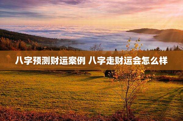 八字预测财运案例 八字走财运会怎么样
