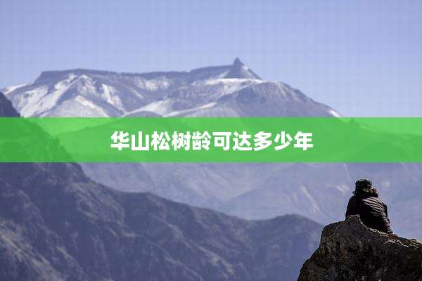 华山松树龄可达多少年