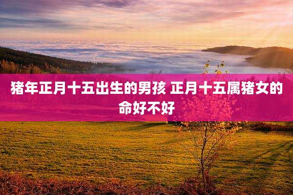猪年正月十五出生的男孩 正月十五属猪女的命好不好