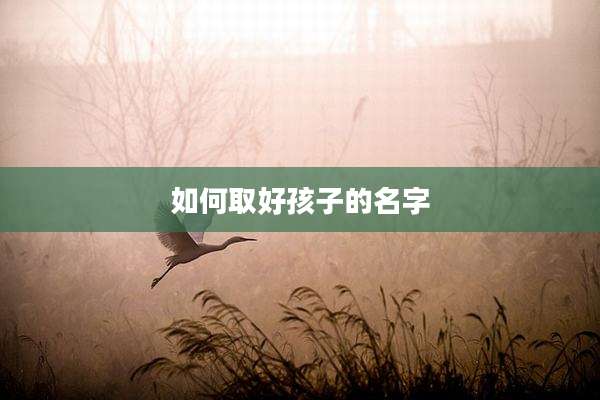 如何取好孩子的名字