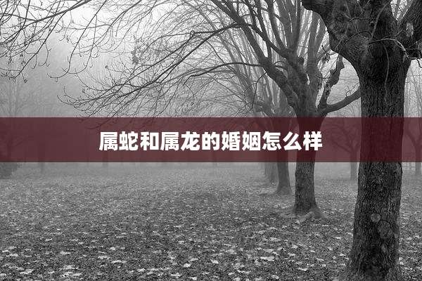 属蛇和属龙的婚姻怎么样