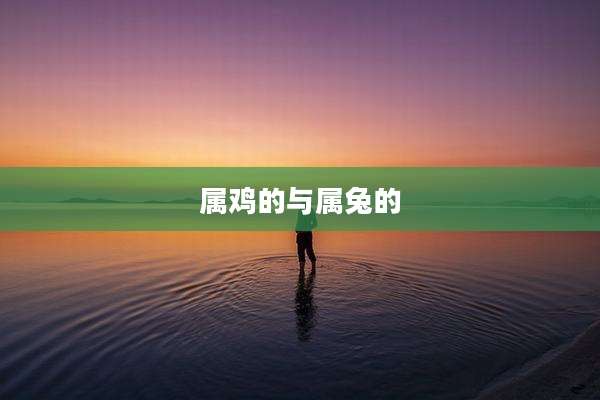 属鸡的与属兔的