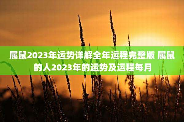 属鼠2023年运势详解全年运程完整版 属鼠的人2023年的运势及运程每月