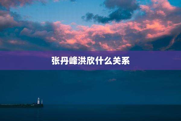 张丹峰洪欣什么关系