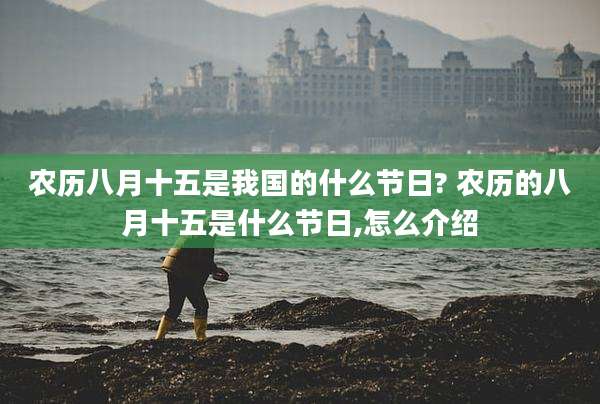 农历八月十五是我国的什么节日? 农历的八月十五是什么节日,怎么介绍
