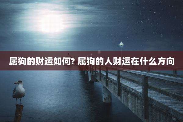 属狗的财运如何? 属狗的人财运在什么方向
