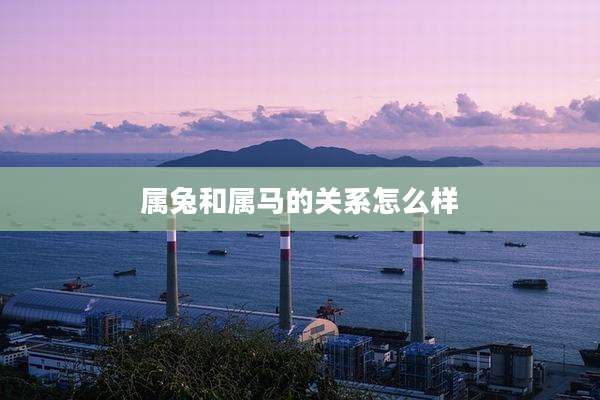 属兔和属马的关系怎么样