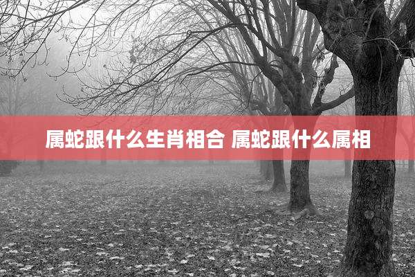 属蛇跟什么生肖相合 属蛇跟什么属相