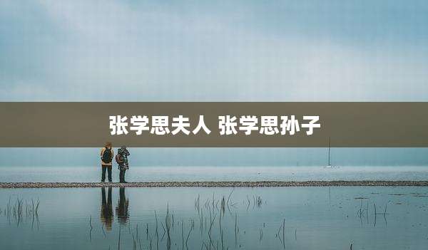 张学思夫人 张学思孙子