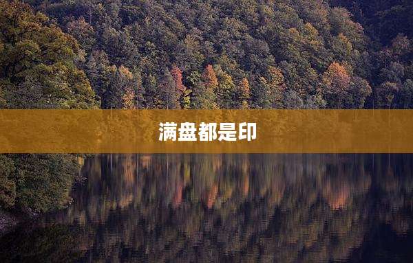 满盘都是印