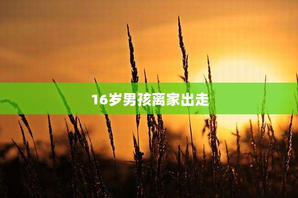 16岁男孩离家出走