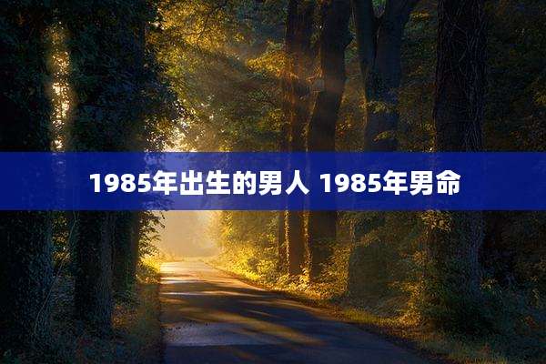 1985年出生的男人 1985年男命