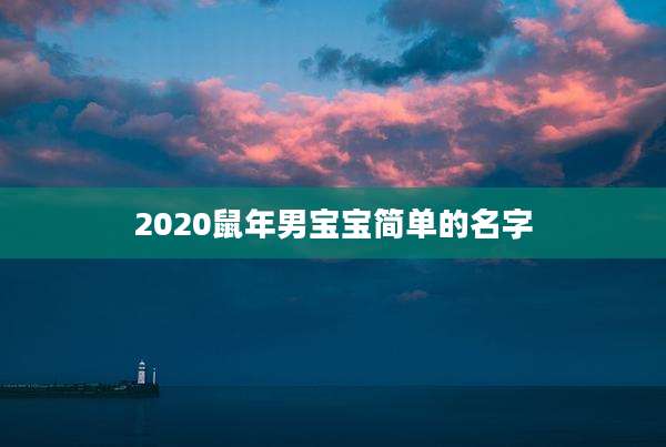 2020鼠年男宝宝简单的名字