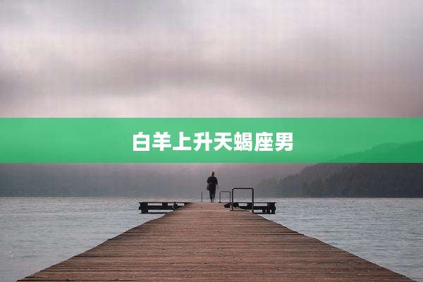 白羊上升天蝎座男