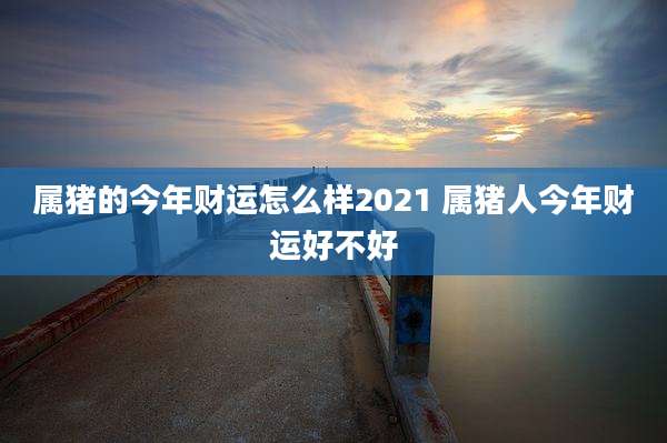 属猪的今年财运怎么样2021 属猪人今年财运好不好