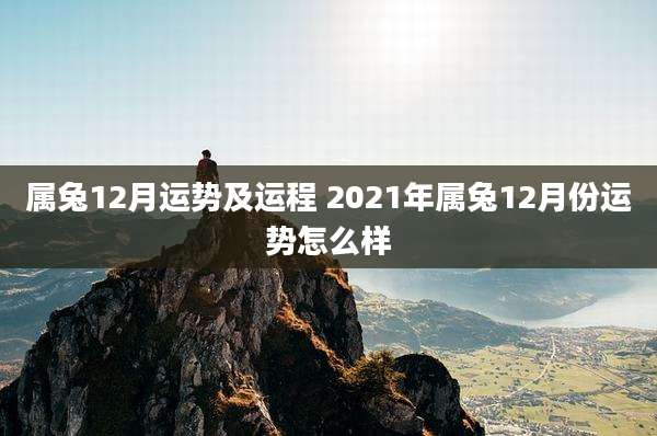 属兔12月运势及运程 2021年属兔12月份运势怎么样