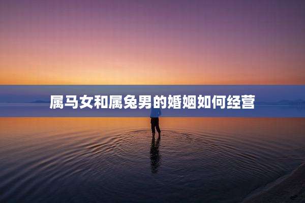 属马女和属兔男的婚姻如何经营