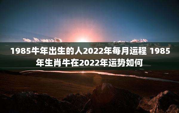 1985牛年出生的人2022年每月运程 1985年生肖牛在2022年运势如何