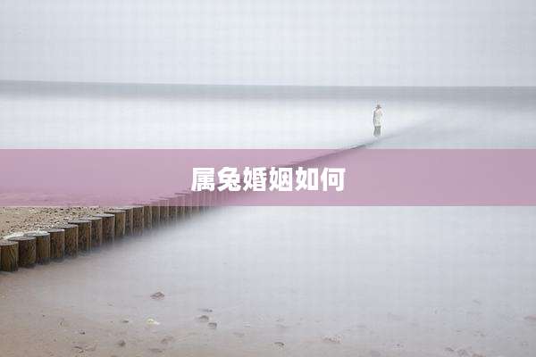 属兔婚姻如何