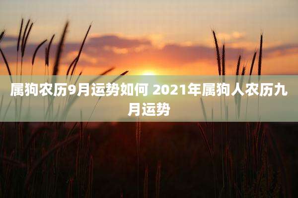属狗农历9月运势如何 2021年属狗人农历九月运势