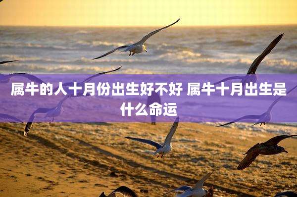 属牛的人十月份出生好不好 属牛十月出生是什么命运
