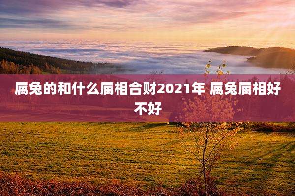 属兔的和什么属相合财2021年 属兔属相好不好