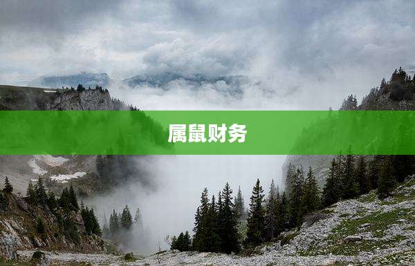 属鼠财务