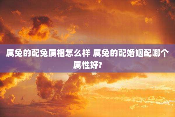 属兔的配兔属相怎么样 属兔的配婚姻配哪个属性好?