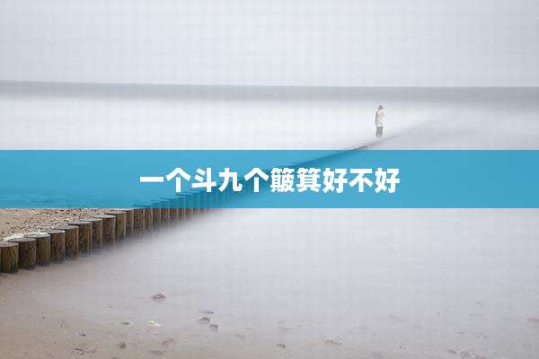 一个斗九个簸箕好不好