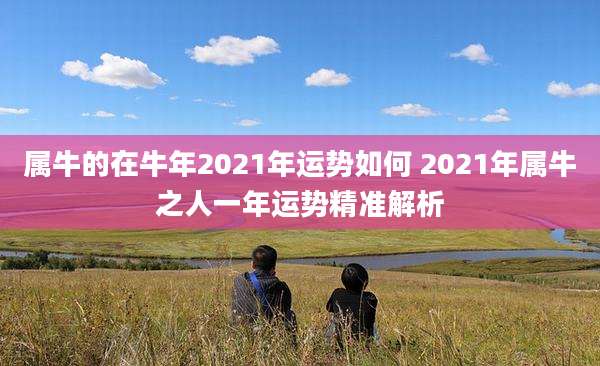 属牛的在牛年2021年运势如何 2021年属牛之人一年运势精准解析