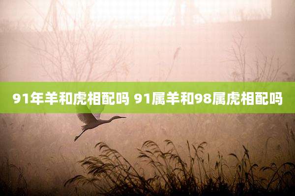 91年羊和虎相配吗 91属羊和98属虎相配吗