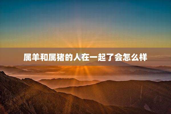 属羊和属猪的人在一起了会怎么样