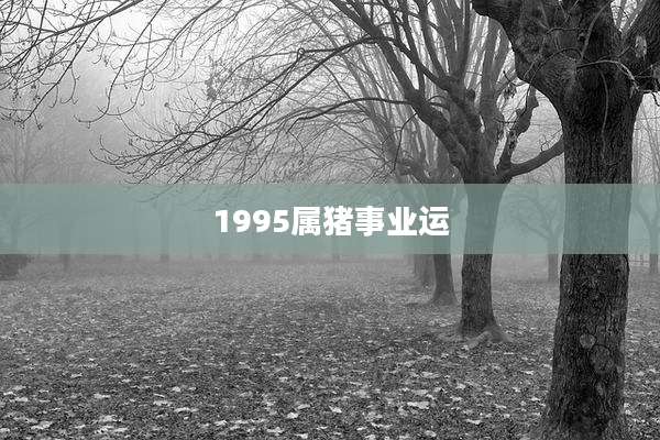 1995属猪事业运