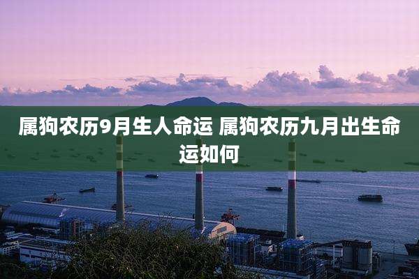 属狗农历9月生人命运 属狗农历九月出生命运如何