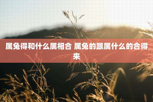 属兔得和什么属相合 属兔的跟属什么的合得来