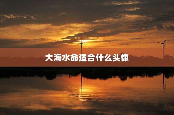 大海水命适合什么头像