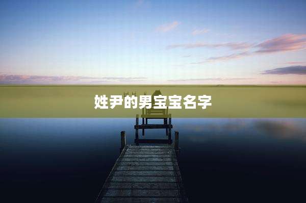 姓尹的男宝宝名字