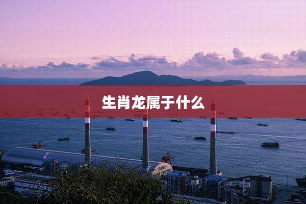 生肖龙属于什么