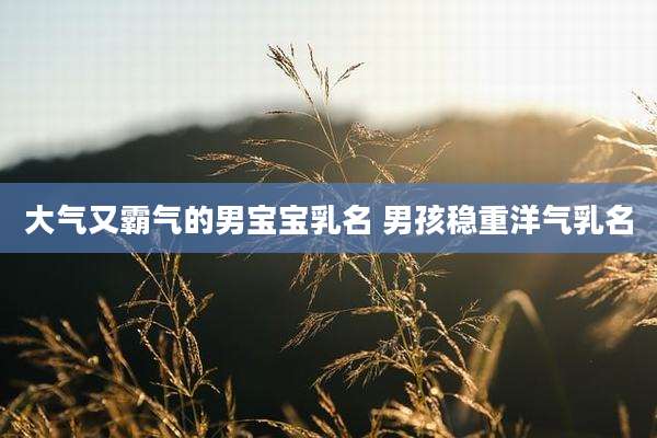 大气又霸气的男宝宝乳名 男孩稳重洋气乳名