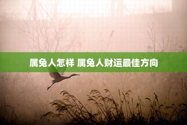属兔人怎样 属兔人财运最佳方向