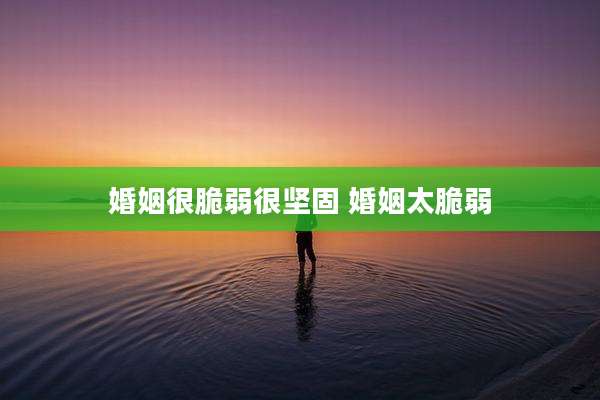 婚姻很脆弱很坚固 婚姻太脆弱