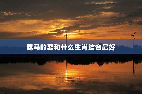 属马的要和什么生肖结合最好