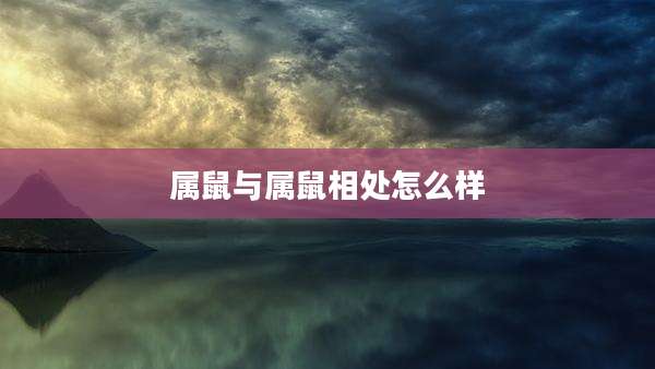 属鼠与属鼠相处怎么样