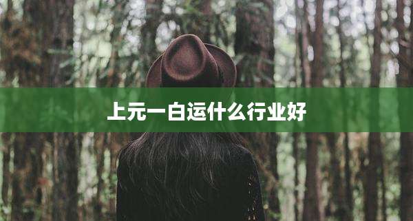 上元一白运什么行业好